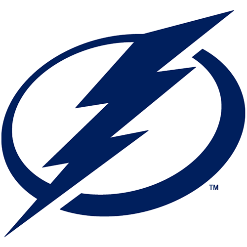 (image for) Tampa Bay Lightning 2011-Pres Primary Logo iron on heat transfer